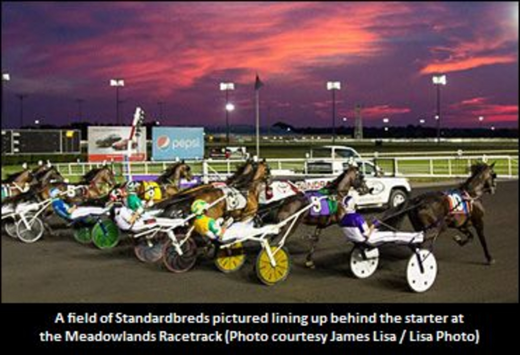 MeadowlandsRacetrack-370--0-0-0-0-0-0-0-0-.jpg