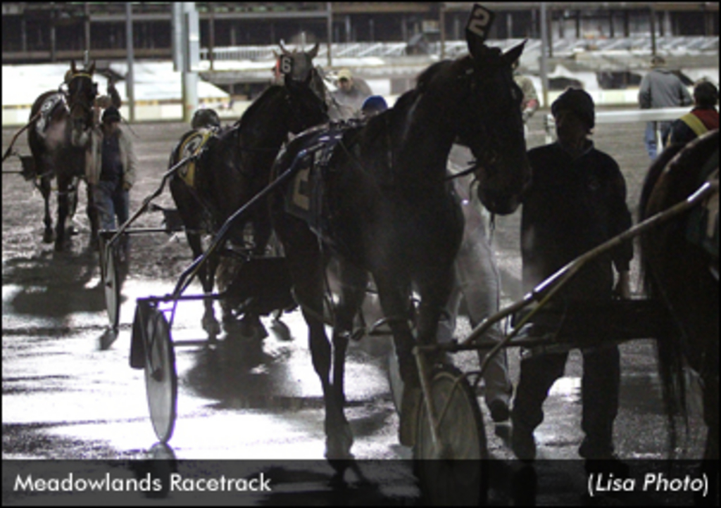 MeadowlandsRacingHorses-Lisa-edit.jpg