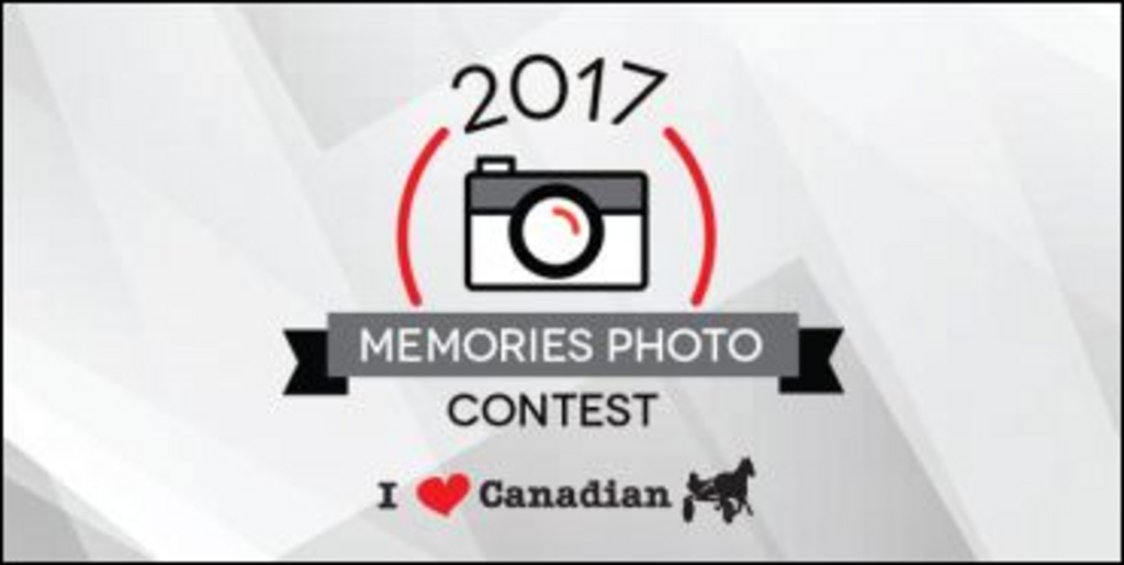 MemoryPhotoContest(small).jpg