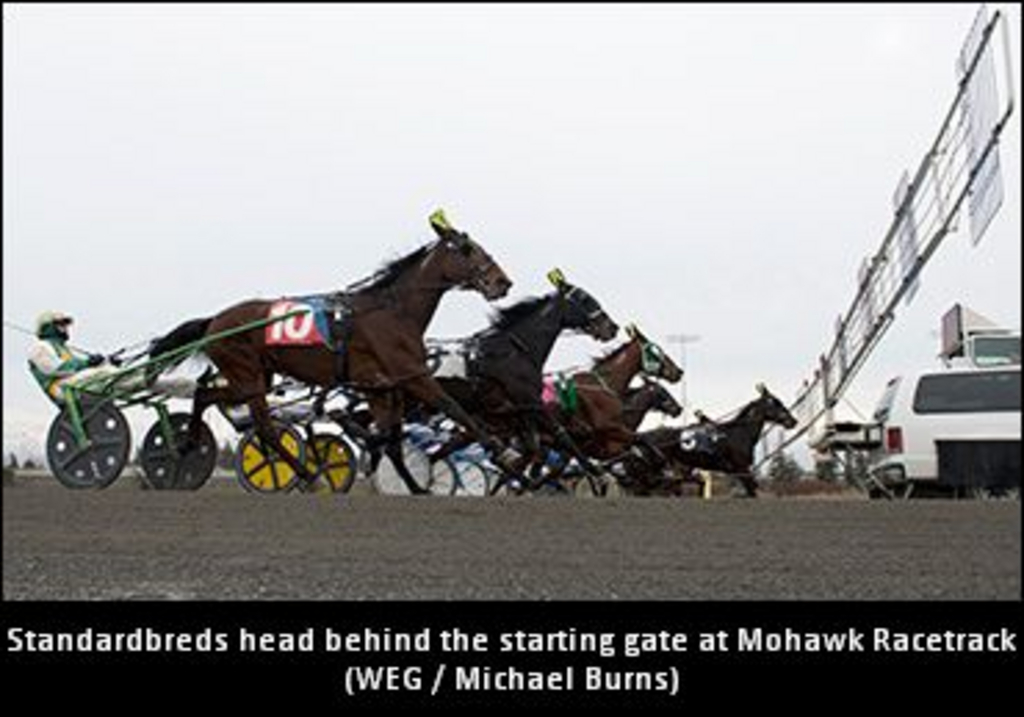 MohawkRacetrack12.jpg