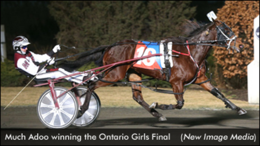 MuchAdoo-OntarioGirlsFinal-NewImageMedia-edit.jpg