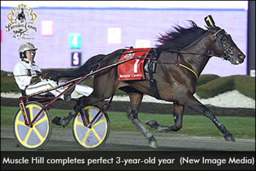 Muscle-Hill-2009-Breeders-Crown-370px.jpg