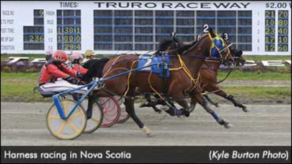 NSHarnessRacing-KyleBurton.jpg