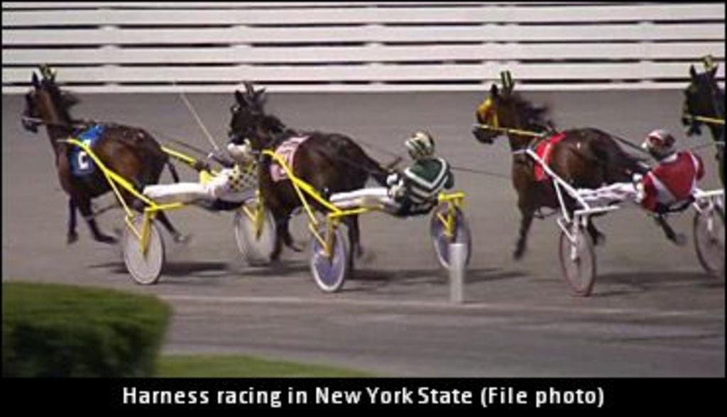 NewYorkHarnessRacing.jpg