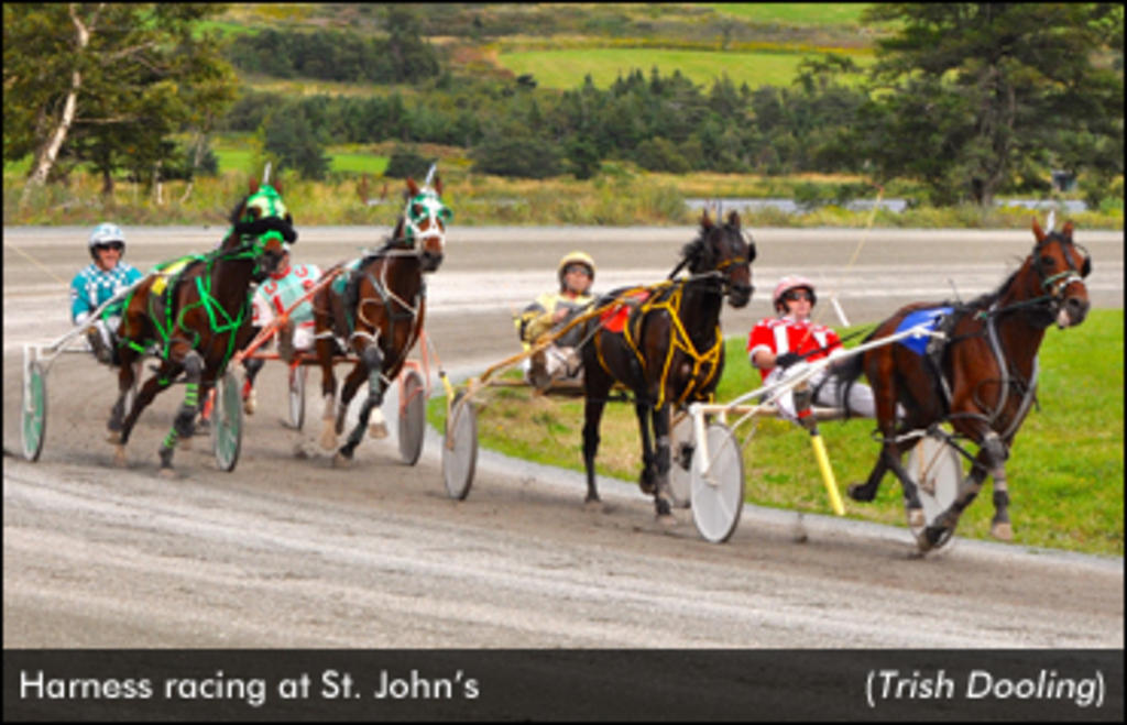 NewfoundlandRacing-TrishDooling-edit.jpg