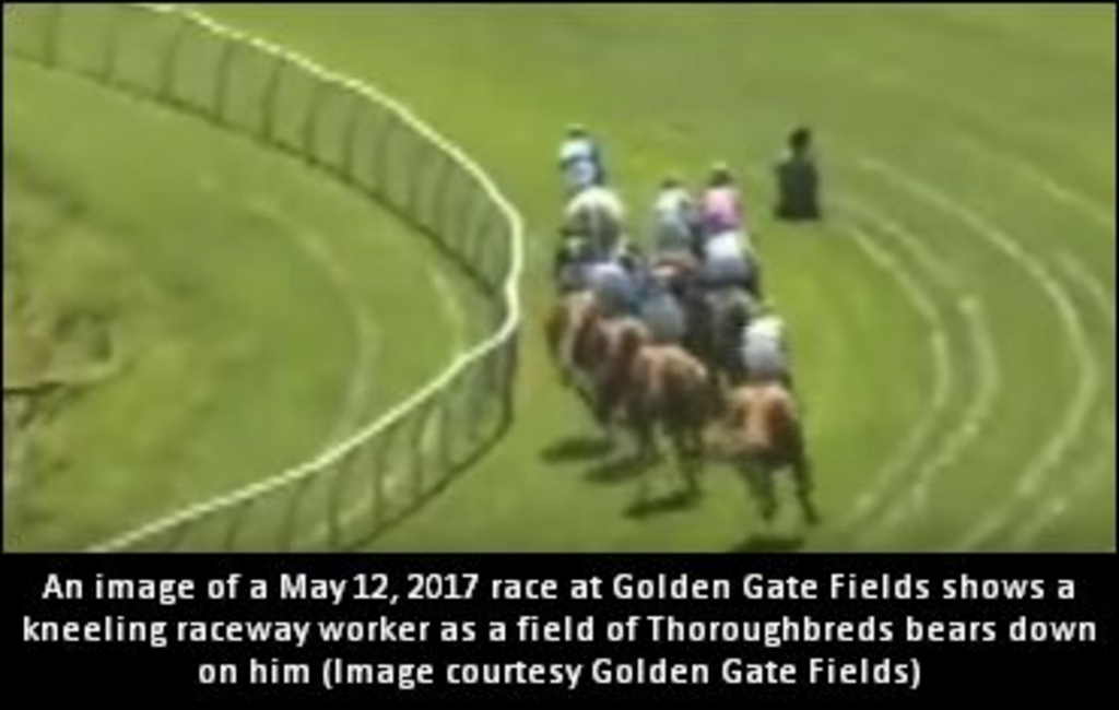 NixonDang-GoldenGateFields.jpg