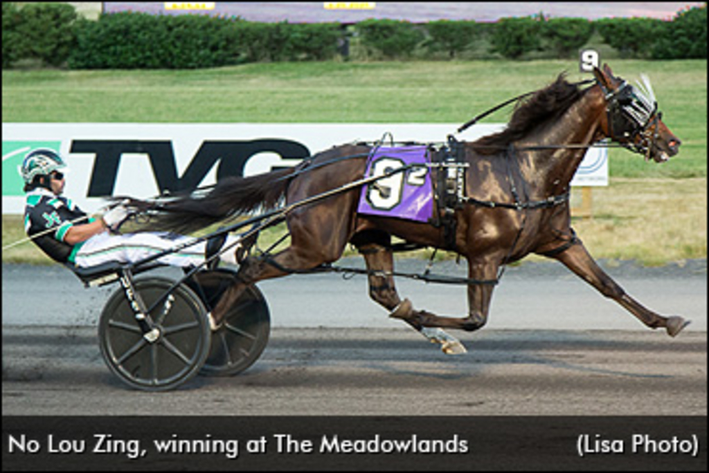 No-Lou-Zing-Meadowlands-370px.jpg