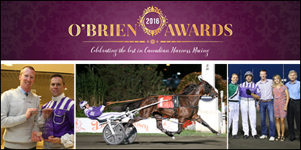 OBriens-Bowden-370.jpg