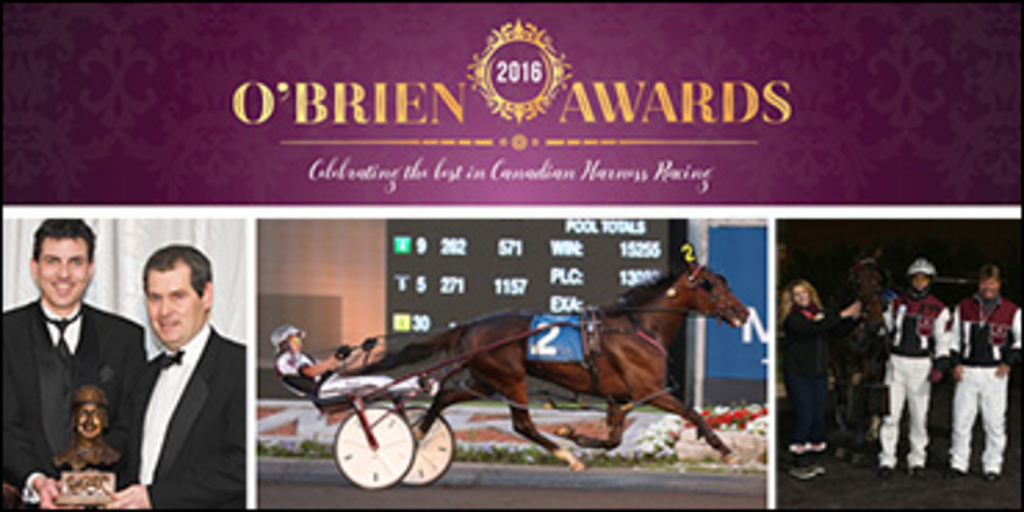 OBriens-Clay-Horner-370.jpg