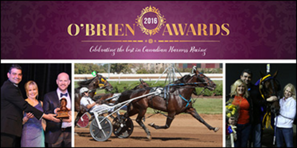 OBriens-Rene-Dion-370.jpg