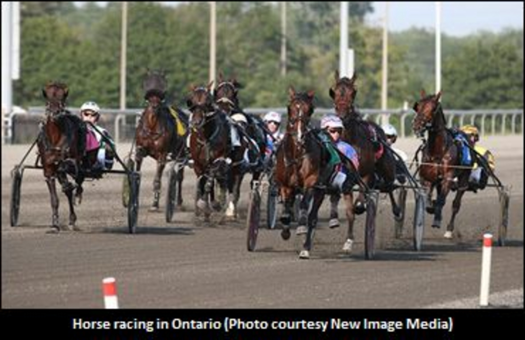 OntarioHorseRacing-370-01-.jpg