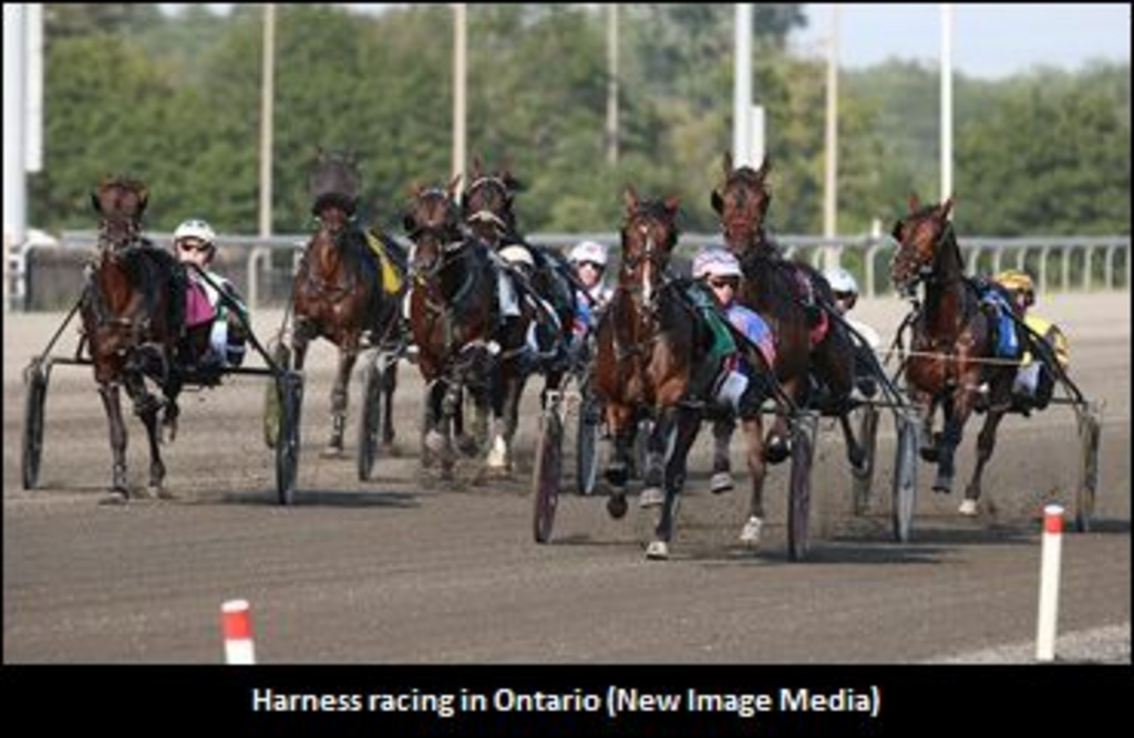 OntarioHorseRacing-370-02-.jpg