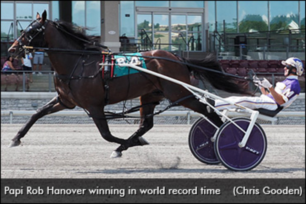 Papi-Rob-Hanover-World-Record-370px.jpg