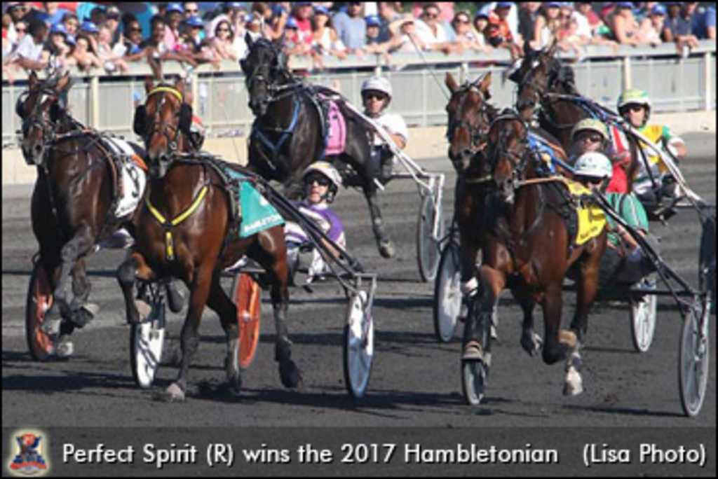 Perfect-Spirit-Hambo-Final-370.jpg