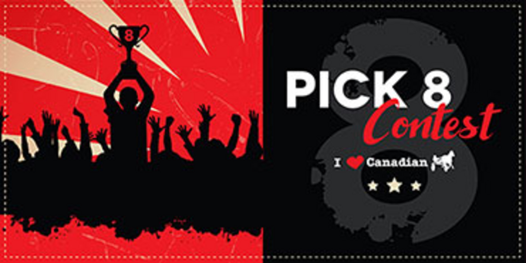 Pick-8-Banner-(370x185).jpg