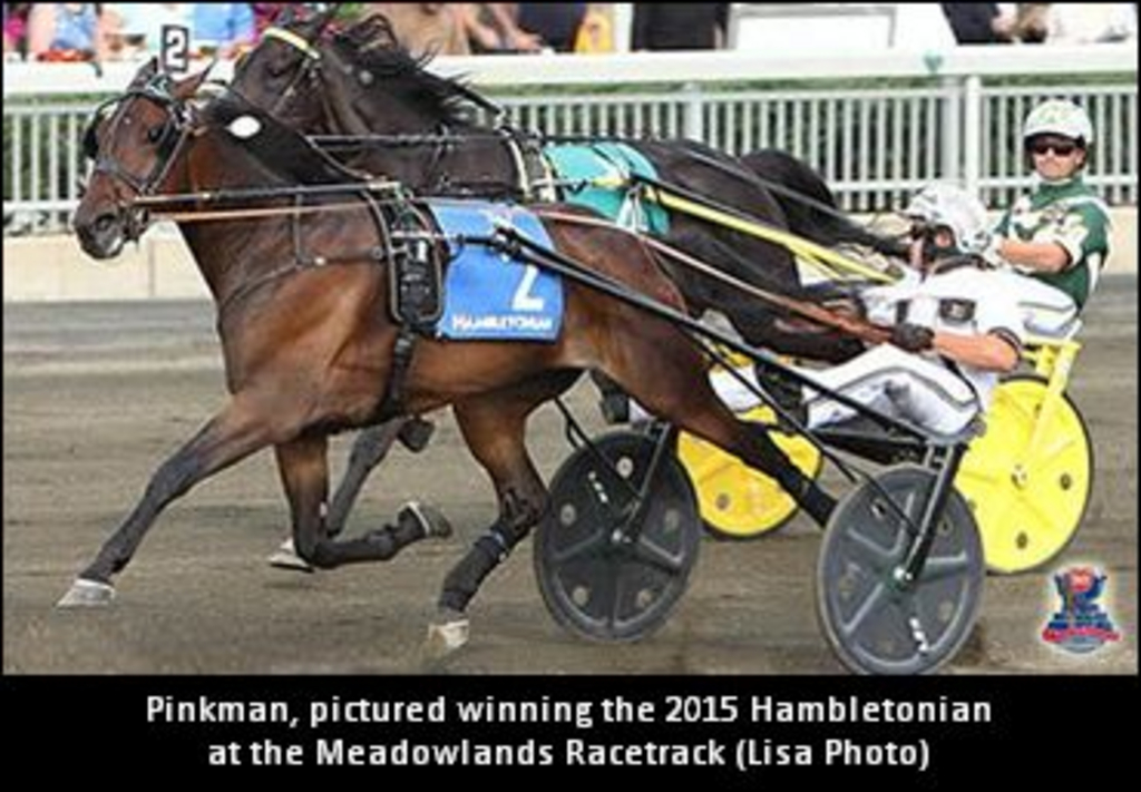 Pinkman-Hambletonian-370---.jpg