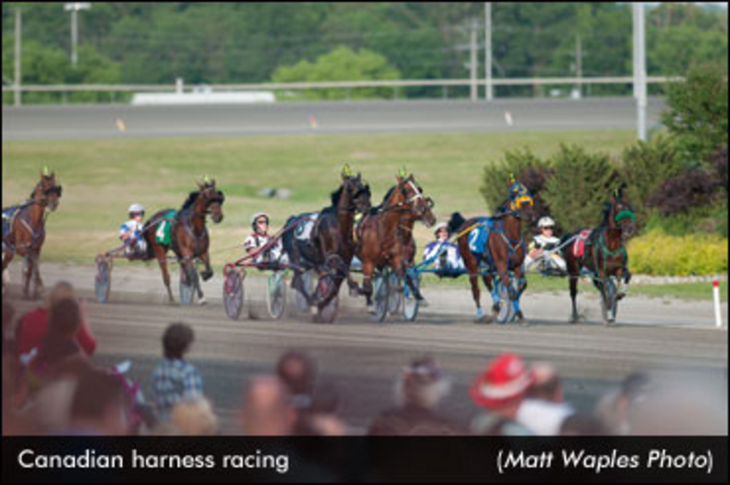 Racing-CrownFinish-MattWaples.jpg