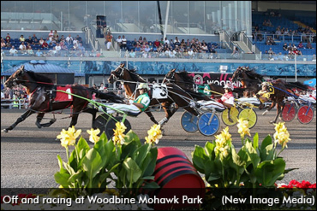 Racing-Mohawk-Summer-2019-370px.jpg