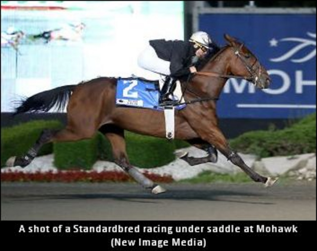 RacingUnderSaddle02.jpg