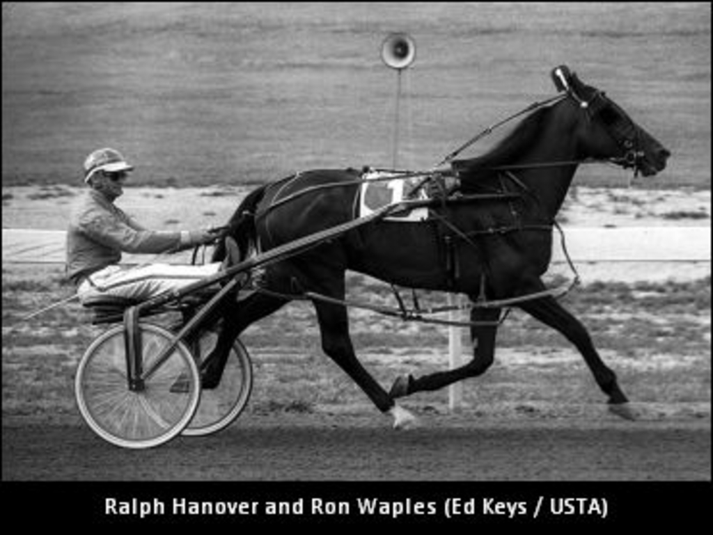 RalphHanover-01-370.jpg