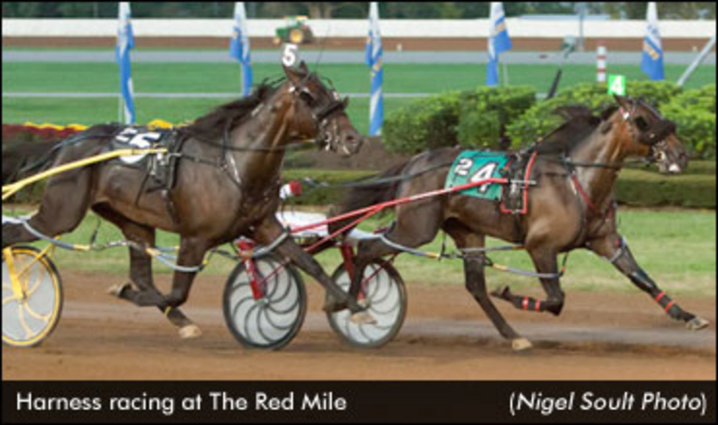 KY Changing Sires Stakes Eligibility? | Standardbred Canada