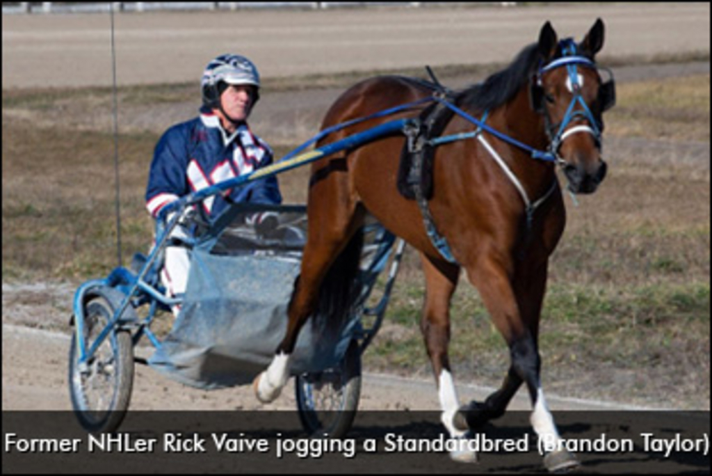 Gilmour, Vaive Now Horse Owners
