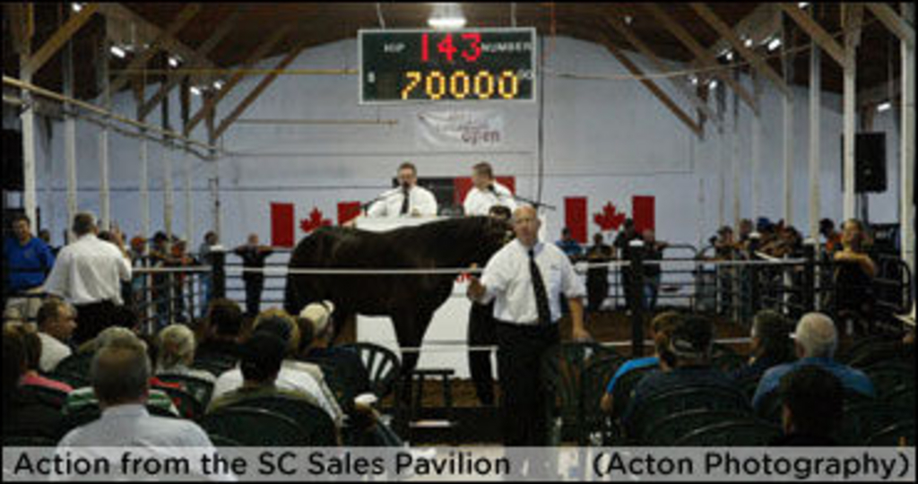 SC-Sales-Pavillion-01.jpg