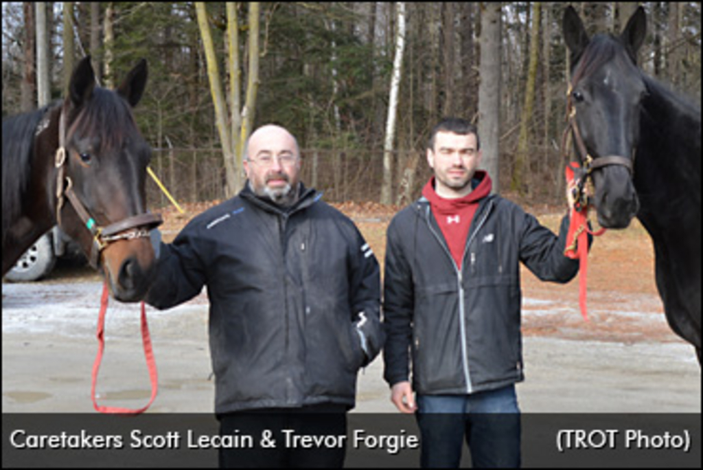 Scott-Trevor-370px.jpg