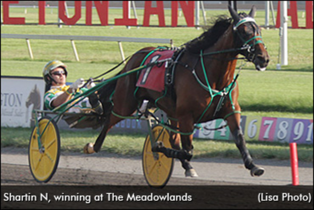 Shartin-N-Meadowlands-370px.jpg