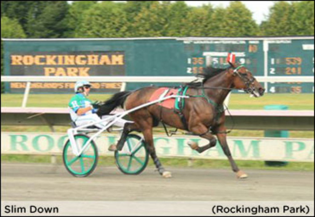 Scorpion Moon  Standardbred Canada