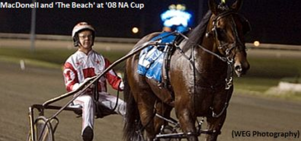 Somebeachsomewhere-MacDonell-08-NA-Cup.jpg