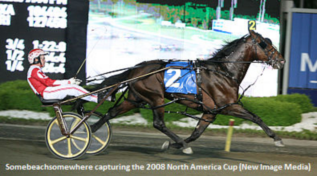 Somebeachsomewhere-North-America-Cup.jpg