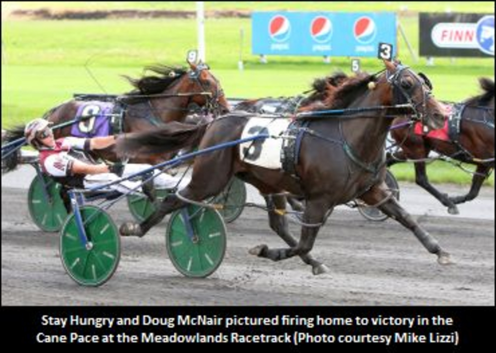 StayHungry-CanePace-MeadowlandsRacetrack.jpg