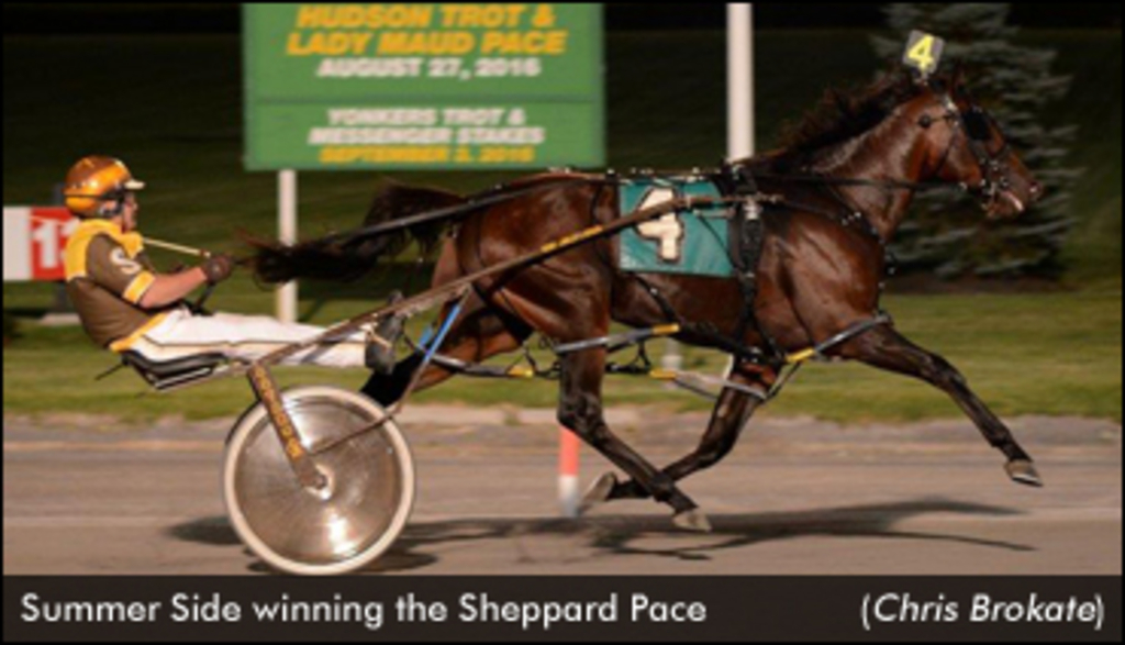 SummerSide-SheppardFinal-ChrisBrokate-ed.jpg