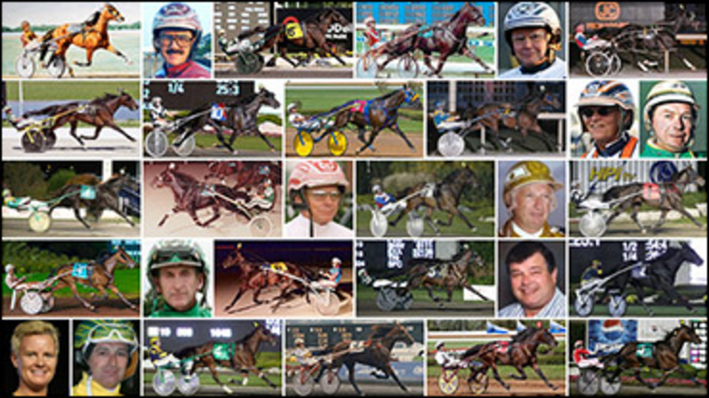 TROTs-Best-Stable-370px.jpg