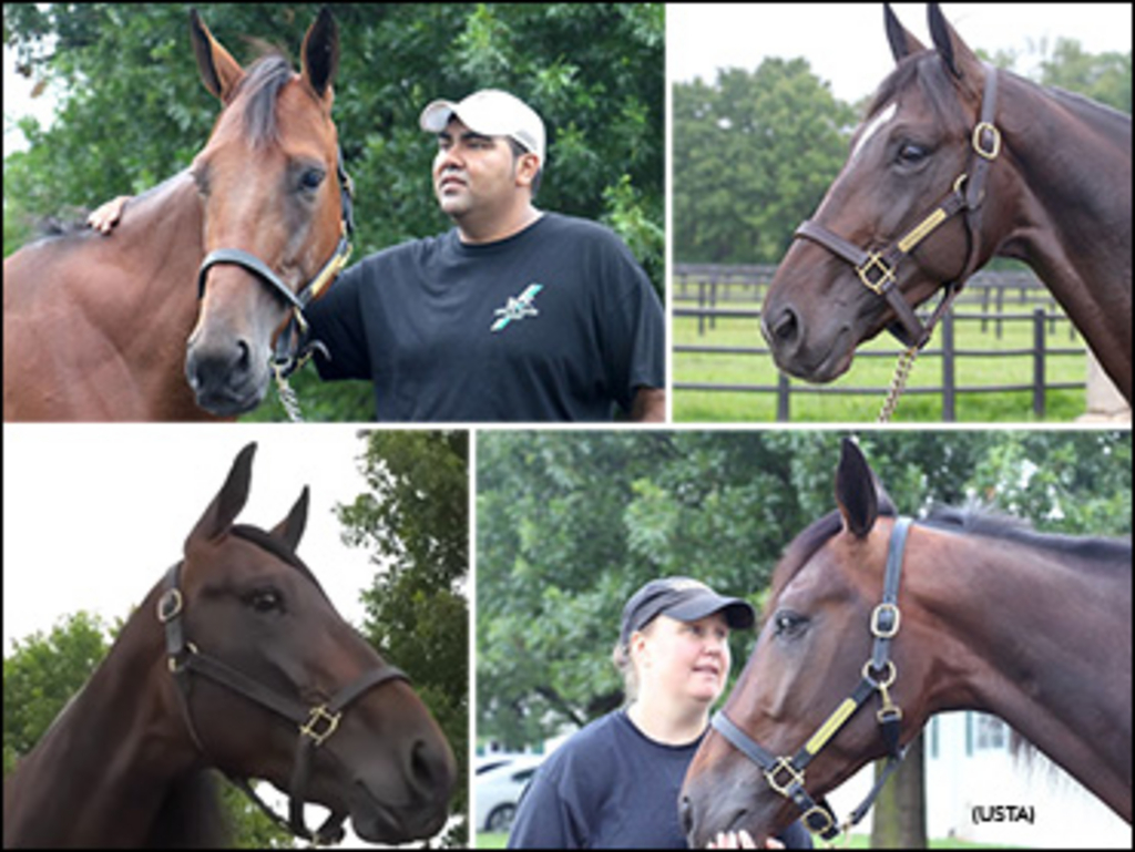 Takter-2018-Hambletonian-Horses-370px.jpg