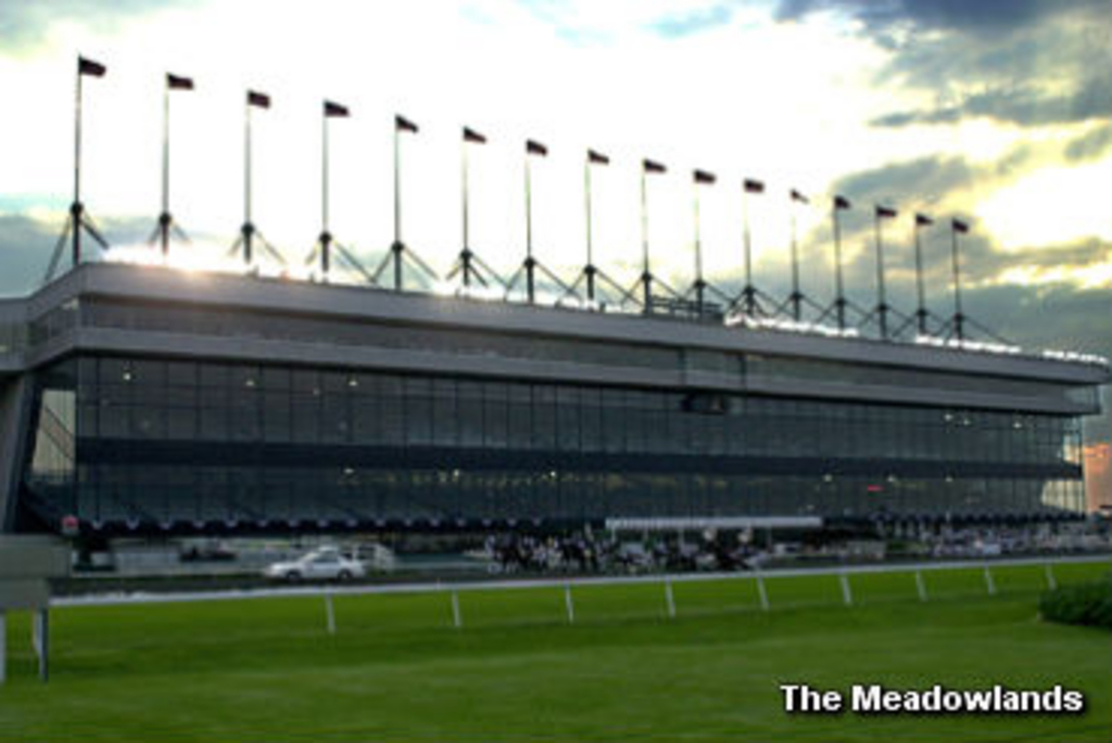 The Meadowlands Grandstand.jpg