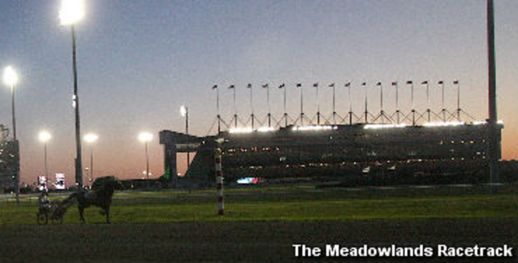 The Meadowlands.jpg