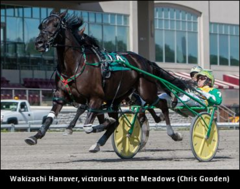 WakizashiHanover04.jpg