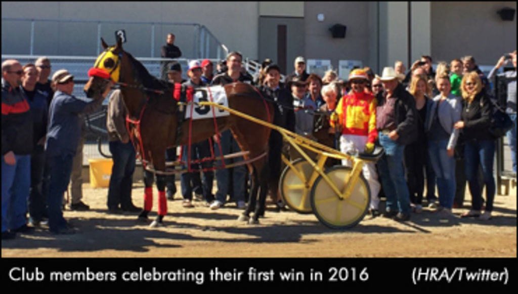 Racing Club - Horse Ownership in Alberta