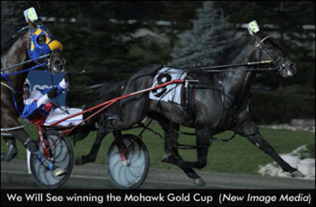 WeWillSee-MohawkGoldCup-edjpg.jpg