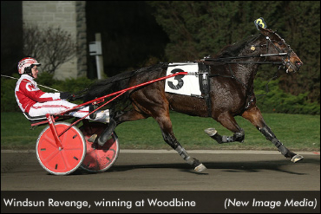 Windsun-Revenge-Woodbine-New-Image-Media(edit).jpg