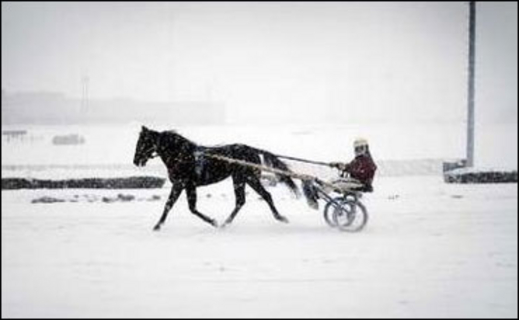Winter---horse-trains-in-storm_0.jpg