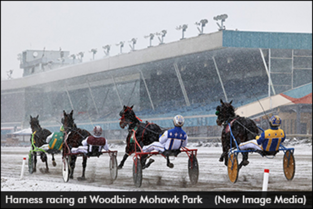 Staking  Standardbred Canada