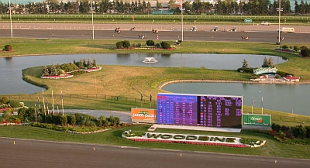 Woodbine-Racetrack-From-Roof.jpg