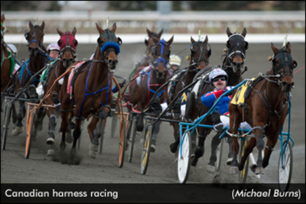 Woodbine-Racing-MichaelBurns-edit.jpg