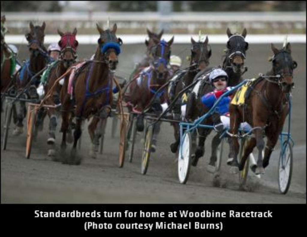 WoodbineRacetrack--11.jpg