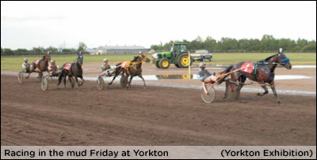 YorktonJuly23edit.jpg