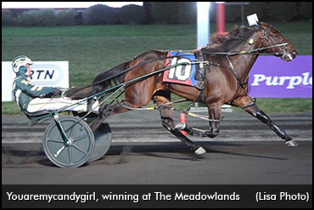 Youaremycandygirl-Meadowlands-370.jpg