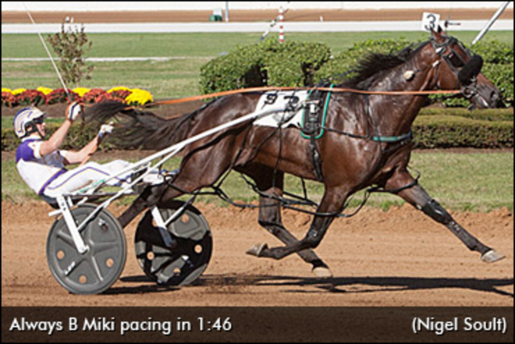 Always B Miki Returns | Standardbred Canada